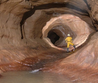 What you never know was down there